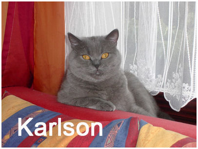 Karlson